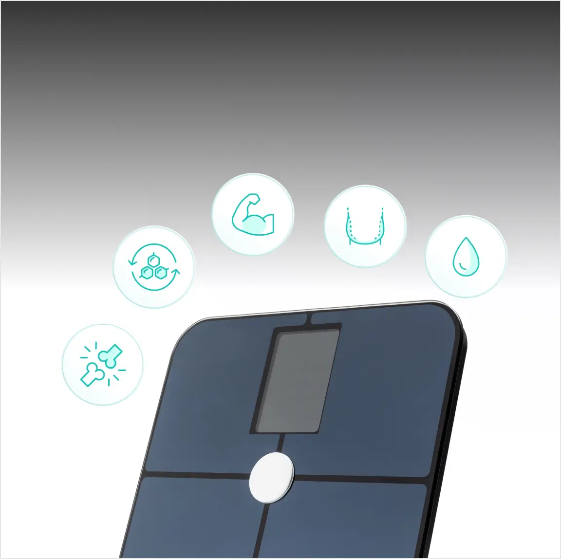 body composition markers