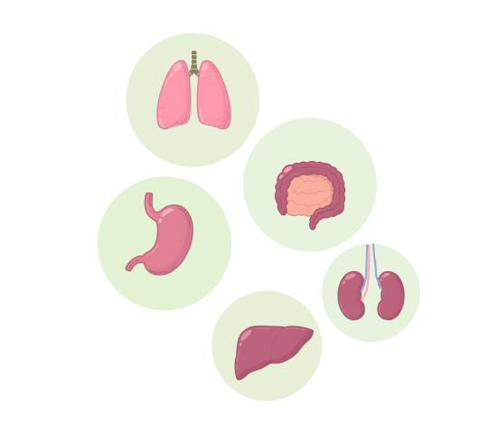 Comprehensive health checkup